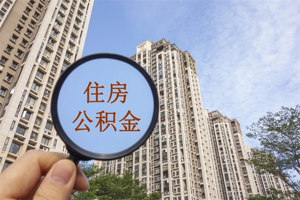 苍南个人公积金去哪儿取（住房公积金个人到哪里提取）